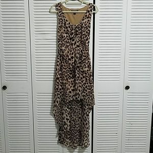 Gorgeous Forever 21 Hi-Lo Leopard Print Dress